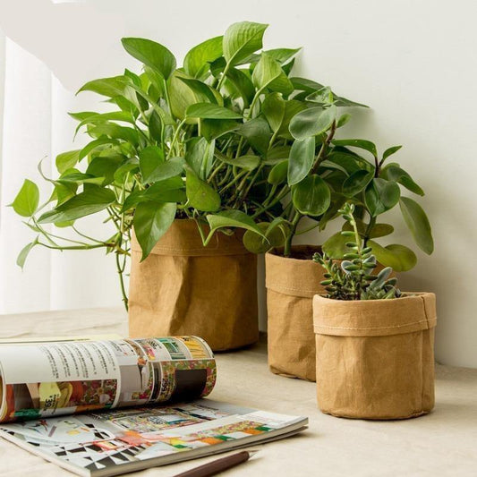 Water Resistant Paper Planter Pouch in Three Sizes