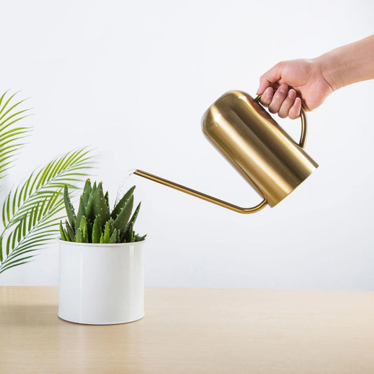 Stainless Steel Watering Can with Long Spout, 51 oz, view 2