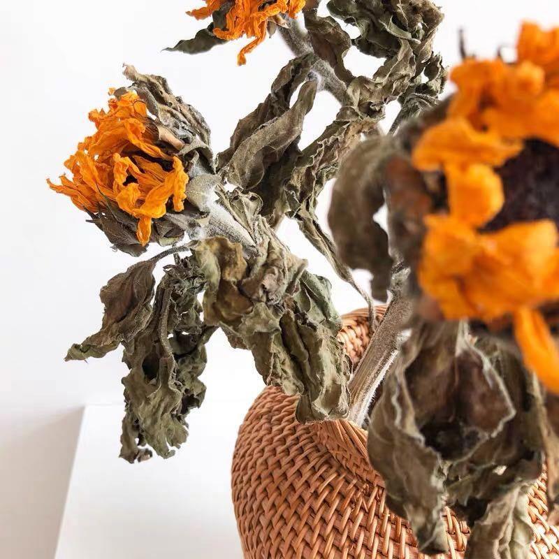 Hand Woven Rattan Vase for Dried Flowers, view 12