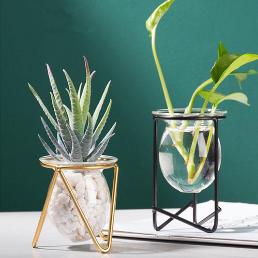 Glass Propagation Vase on a Geometric Iron Stand
