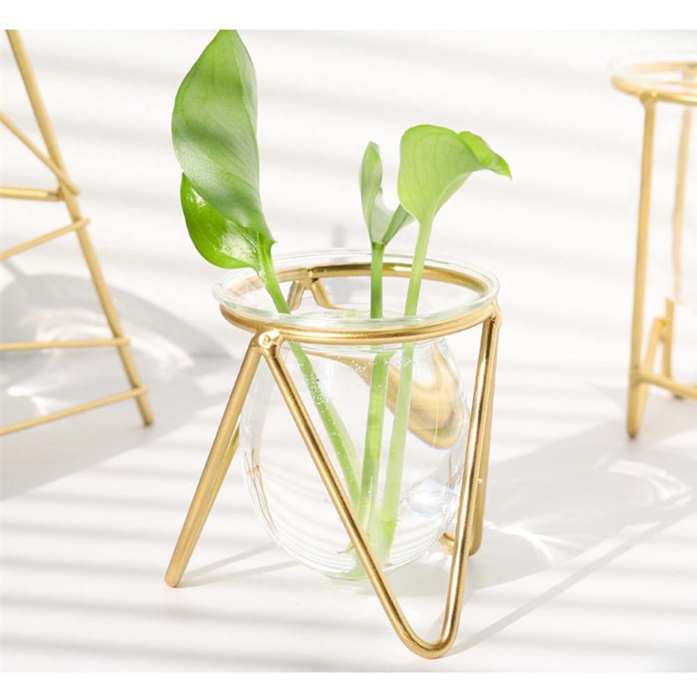 Glass Propagation Vase on a Geometric Iron Stand, view 12