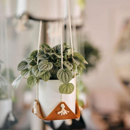 Vegan Leather and Rope Hanging Plant Holder, Two Sizes, view 2