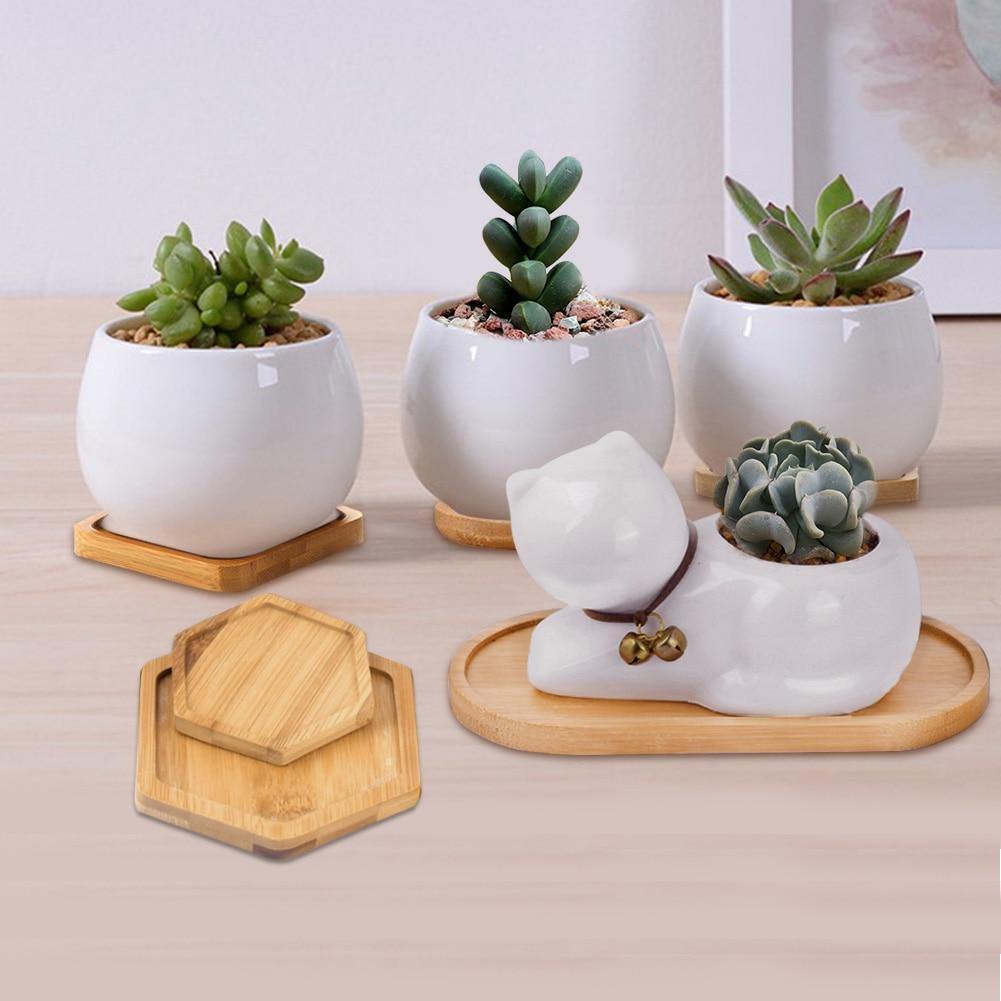 Bamboo Saucer Trays for Plant Pots, Six Shapes, view 4