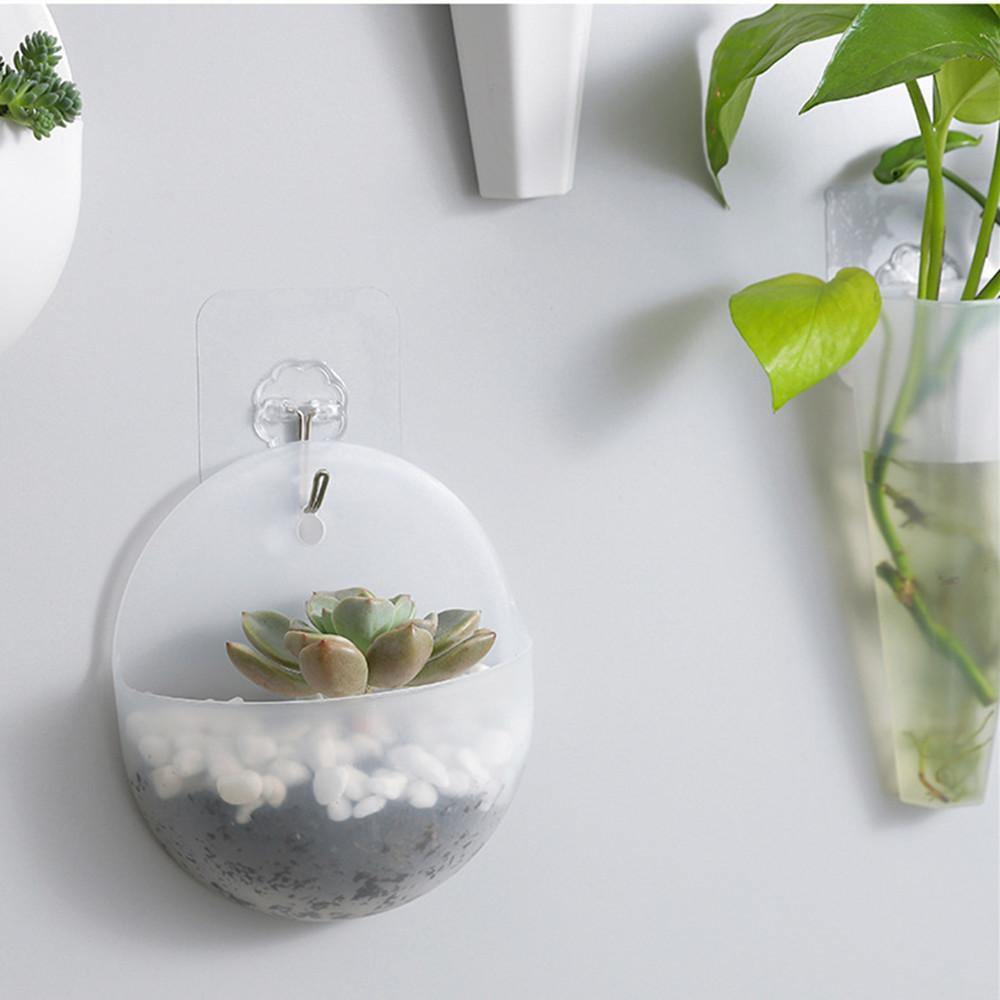 Wall Hanging Planters, Cone or Circle, White or Clear, view 6