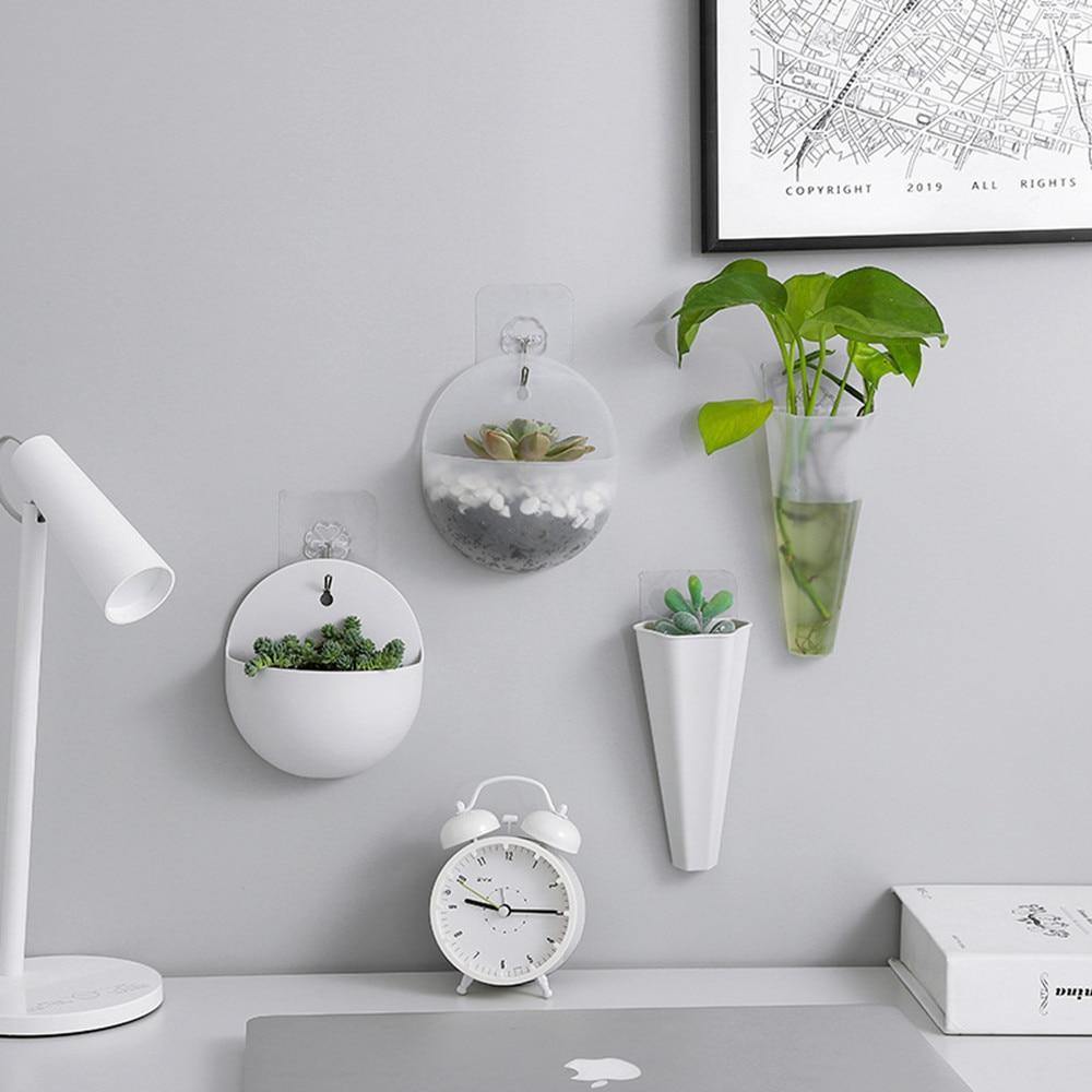 Wall Hanging Planters, Cone or Circle, White or Clear