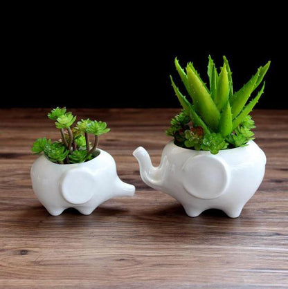 Ceramic Elephant Planter for Succulents and Cacti