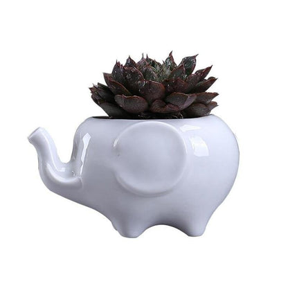 Ceramic Elephant Planter for Succulents and Cacti, view 5