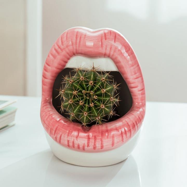 Lips Ceramic Planter for Small Succulents and Cacti, view 6