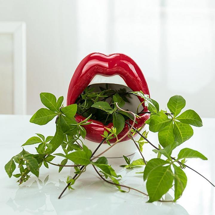Lips Ceramic Planter for Small Succulents and Cacti, view 5