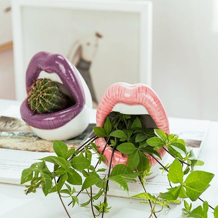Lips Ceramic Planter for Small Succulents and Cacti