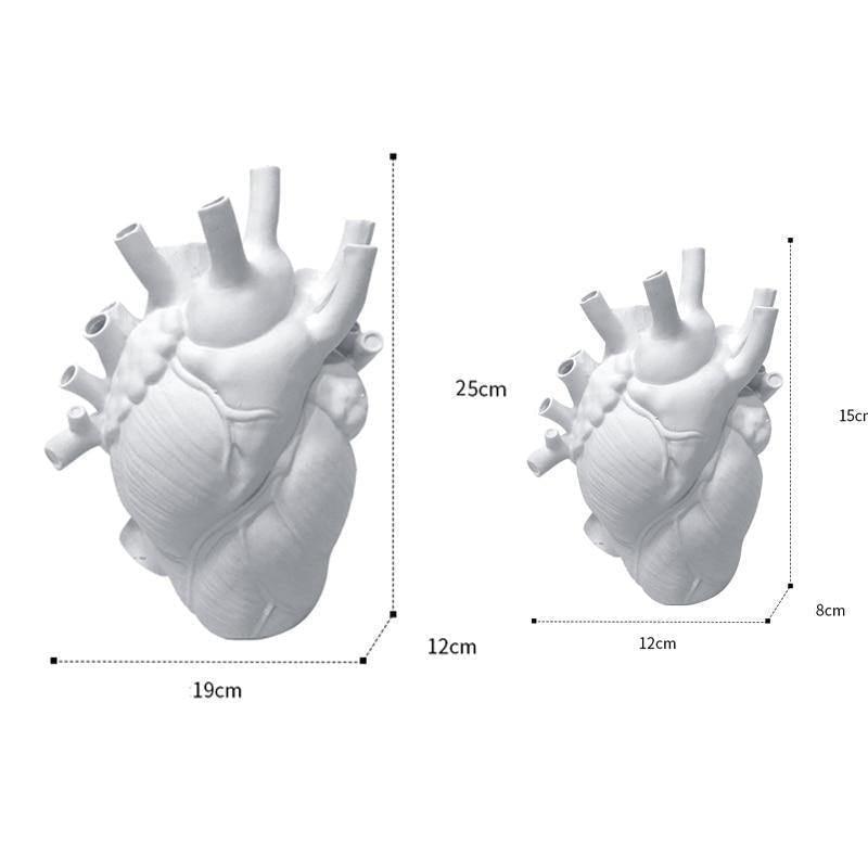 Anatomical Heart Vase for Dried Stems, Two Sizes, view 16