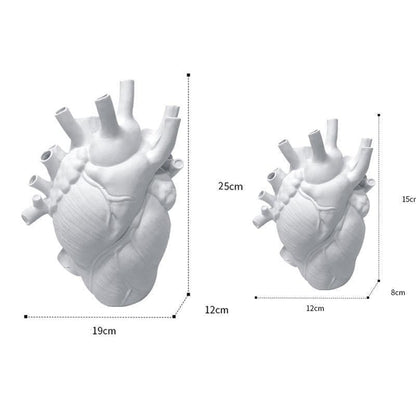 Anatomical Heart Vase for Dried Stems, Two Sizes, view 16