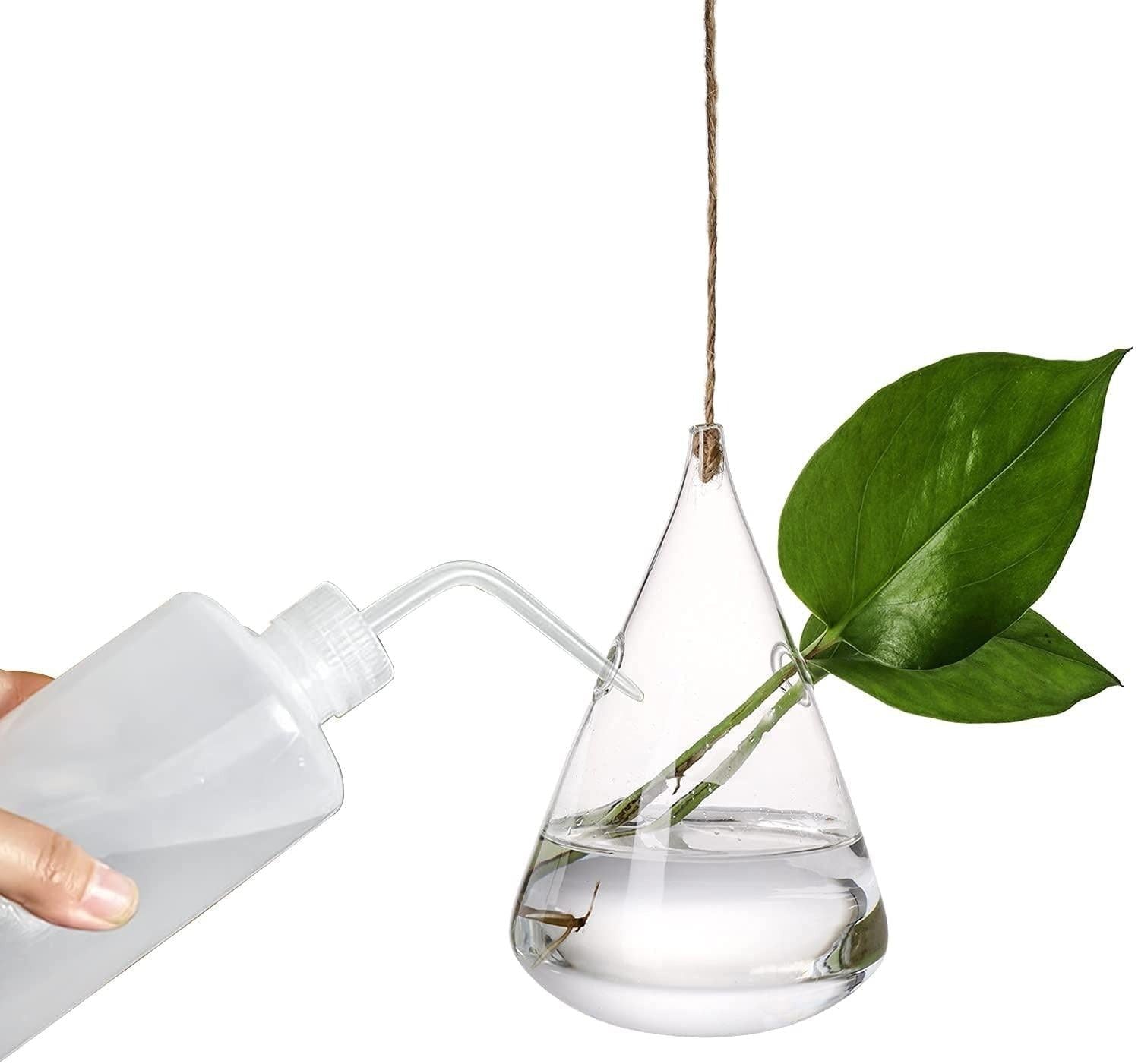 Hanging Glass Terrarium Vases, Set of 3, view 9