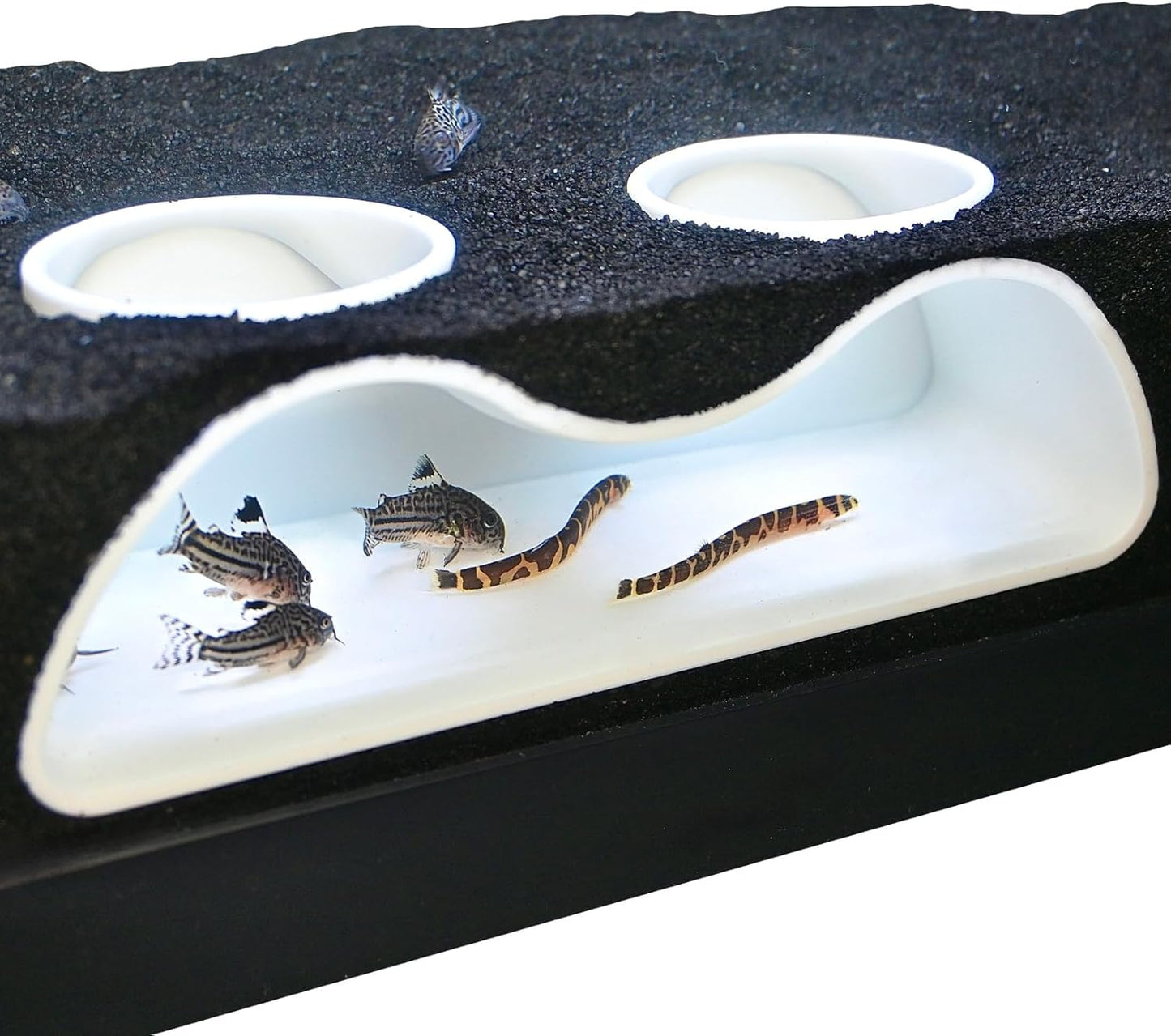 Aquarium Tunnel Hideout for Bottom Dwellers, Curved, view 2