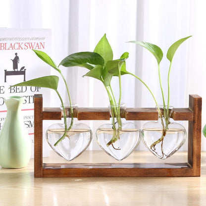 Heart Shaped Glass and Wood Propagation Vase