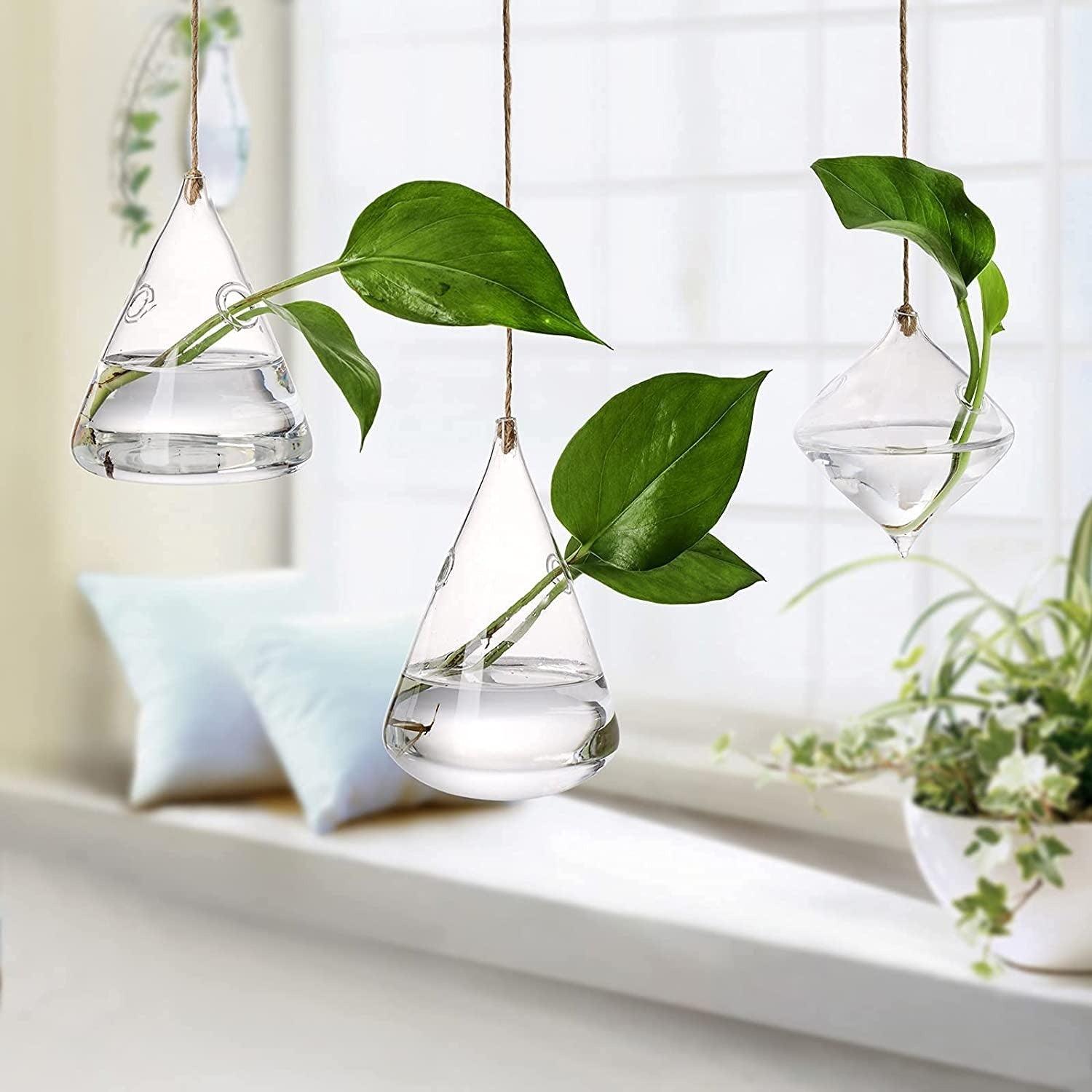 Hanging Glass Terrarium Vases, Set of 3, view 11